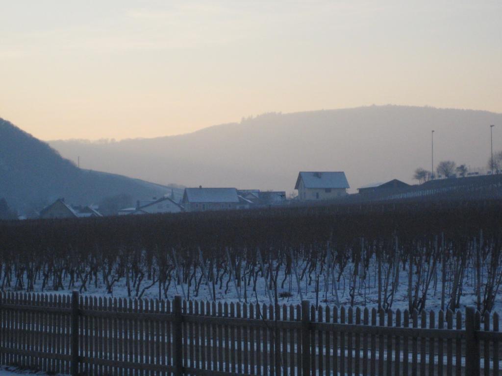 Moselschoen Das Ferienhaus Brodenbach Phòng bức ảnh