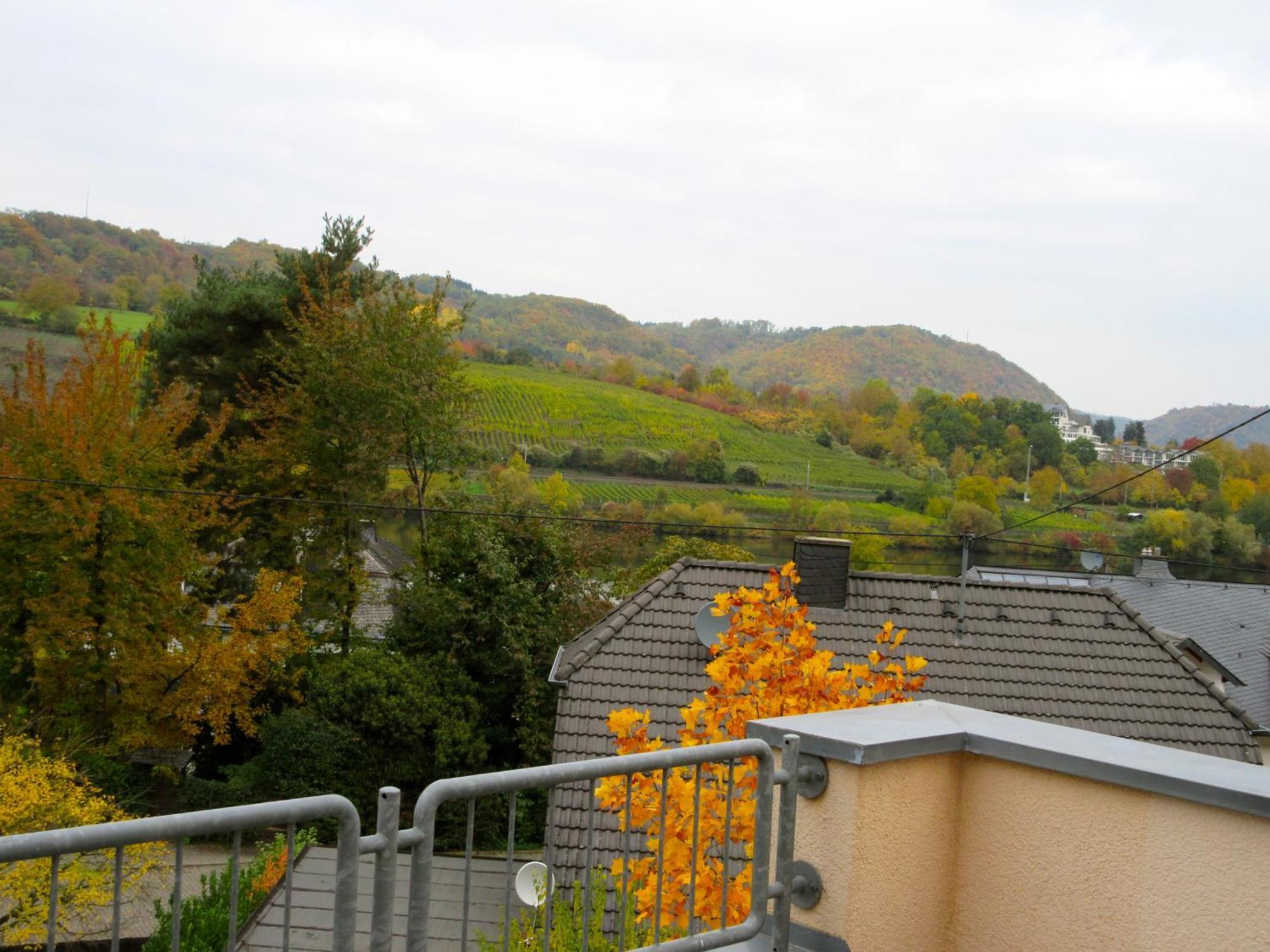 Moselschoen Das Ferienhaus Brodenbach Phòng bức ảnh