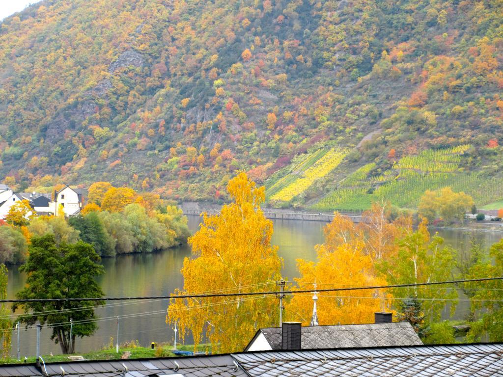 Moselschoen Das Ferienhaus Brodenbach Phòng bức ảnh